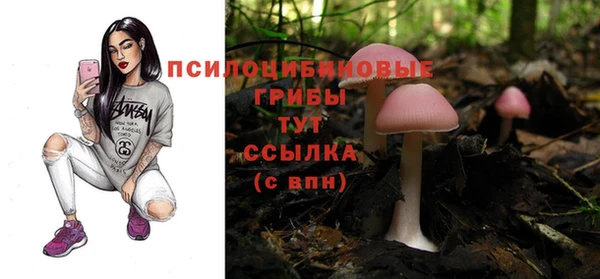 мяу мяу мука Зерноград
