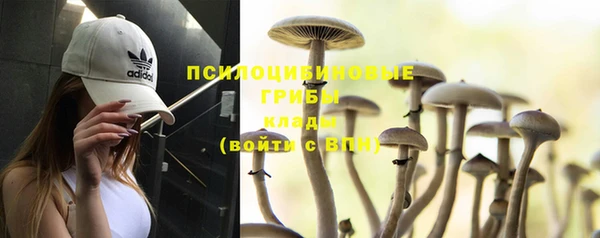 героин Заводоуковск