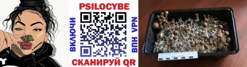 Галлюциногенные грибы Magic Shrooms  Купить закладки  Белая Холуница 